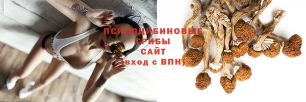 хмурый Каменск-Шахтинский