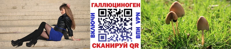 Псилоцибиновые грибы ЛСД  Купить где  Бородино 